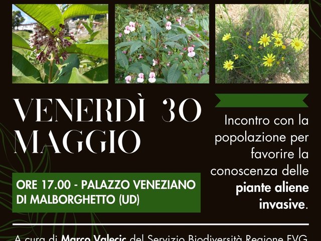 Piante aliene invasive